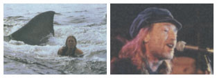 Jaws 2 and Willie Nelson