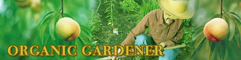 Organic Gardener