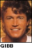 Andy Gibb