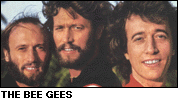 The Bee Gees