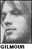 David Gilmour