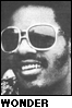 Stevie Wonder