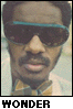 Stevie Wonder