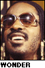 Stevie Wonder