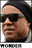 Stevie Wonder