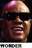 Stevie Wonder