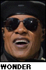 Stevie Wonder