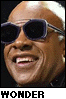 Stevie Wonder
