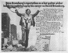 David Bromberg - David Bromberg